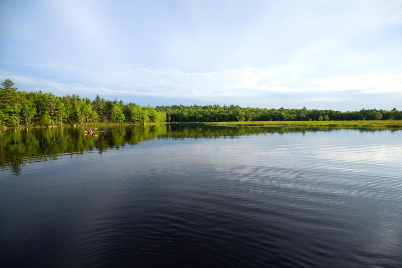 Mersey River Chalets A Nature Retreat Caledonia Bagian luar foto