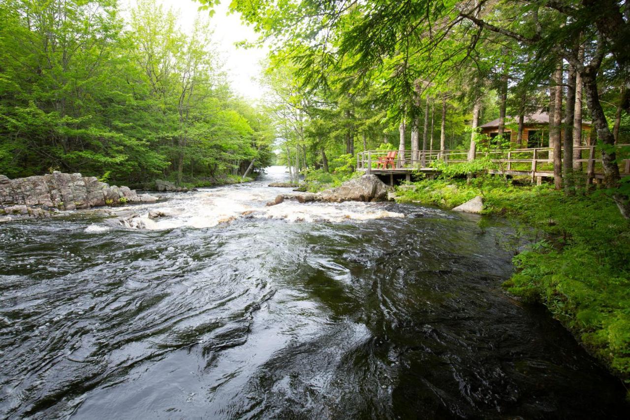 Mersey River Chalets A Nature Retreat Caledonia Bagian luar foto