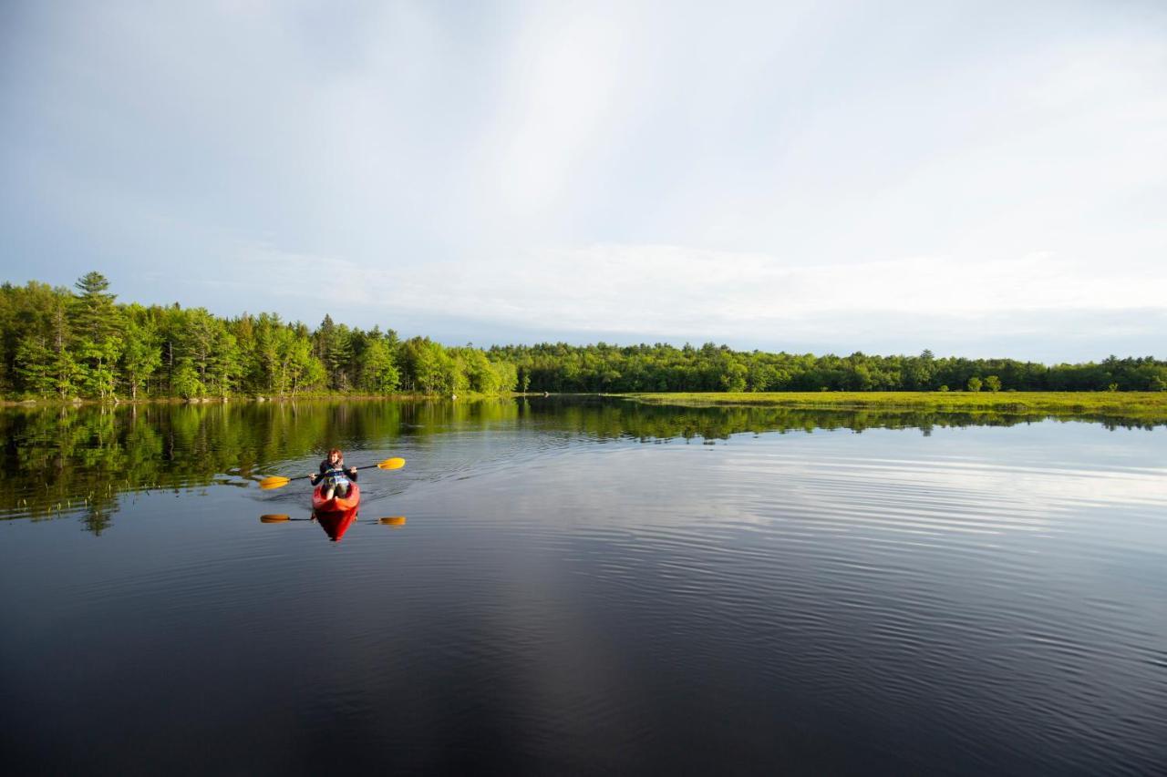 Mersey River Chalets A Nature Retreat Caledonia Bagian luar foto