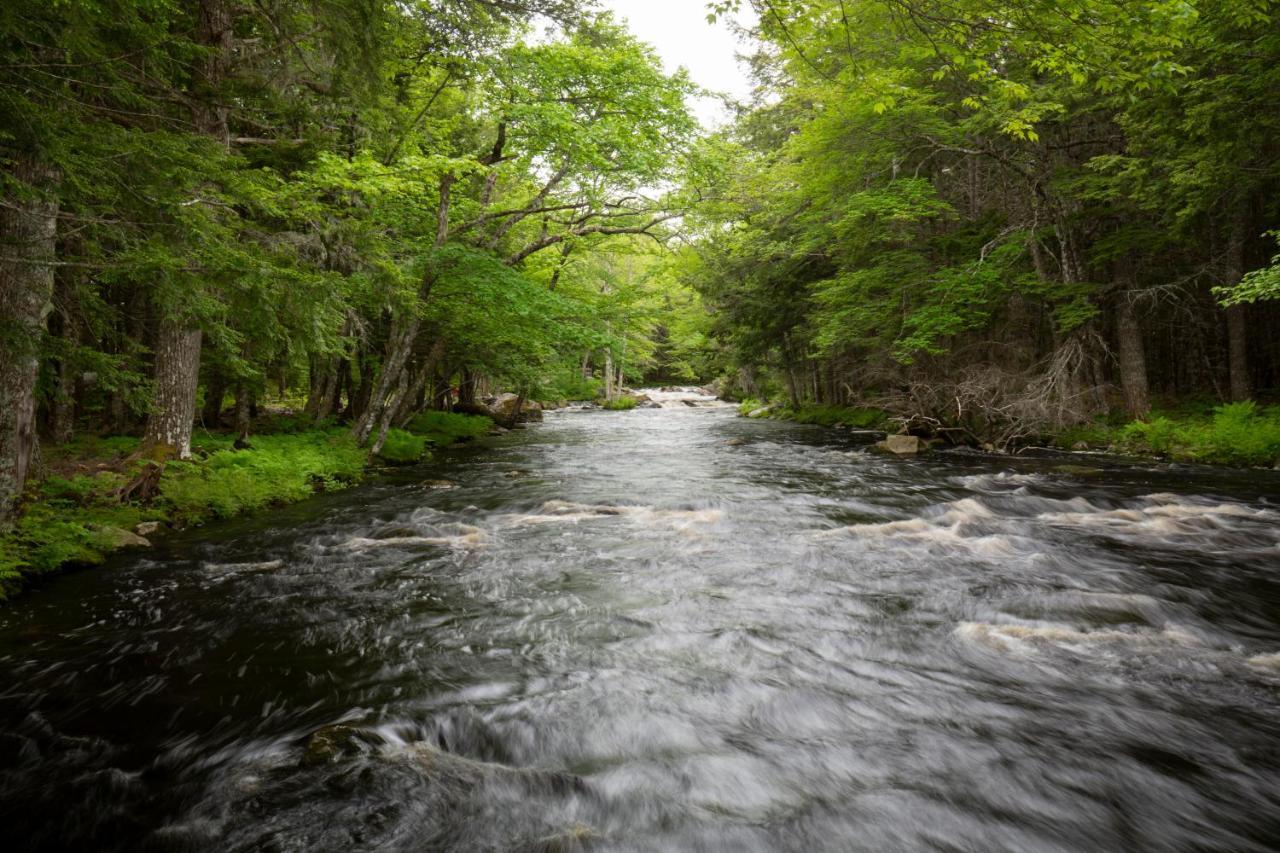 Mersey River Chalets A Nature Retreat Caledonia Bagian luar foto