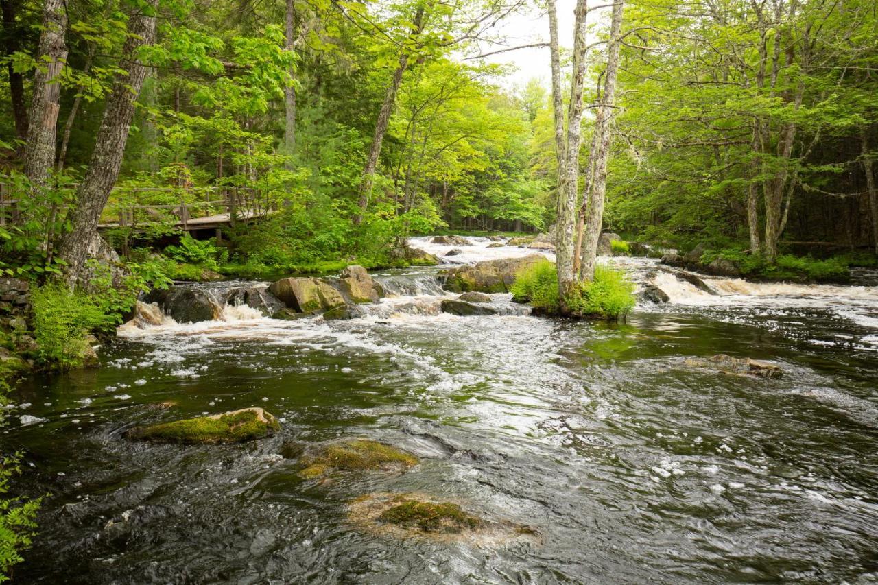 Mersey River Chalets A Nature Retreat Caledonia Bagian luar foto