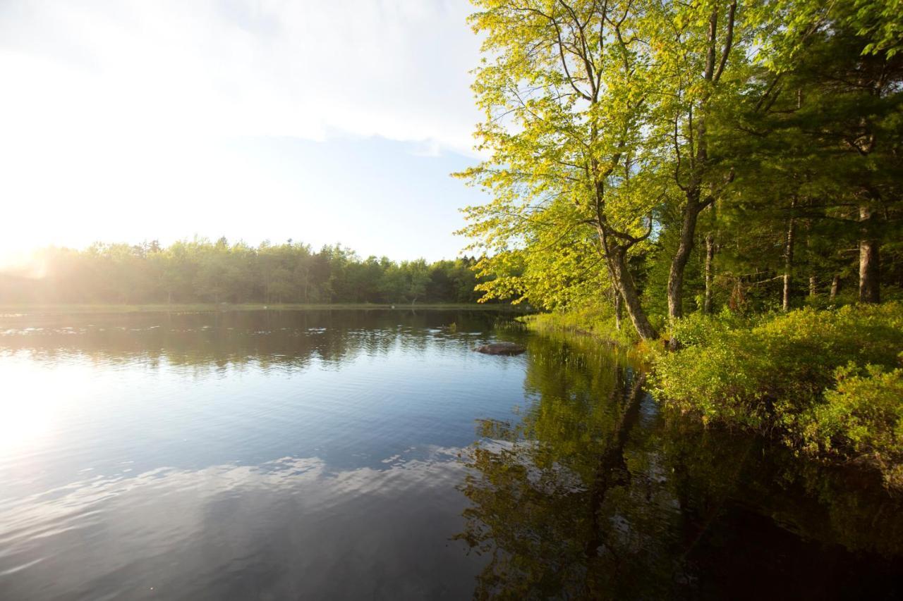 Mersey River Chalets A Nature Retreat Caledonia Bagian luar foto
