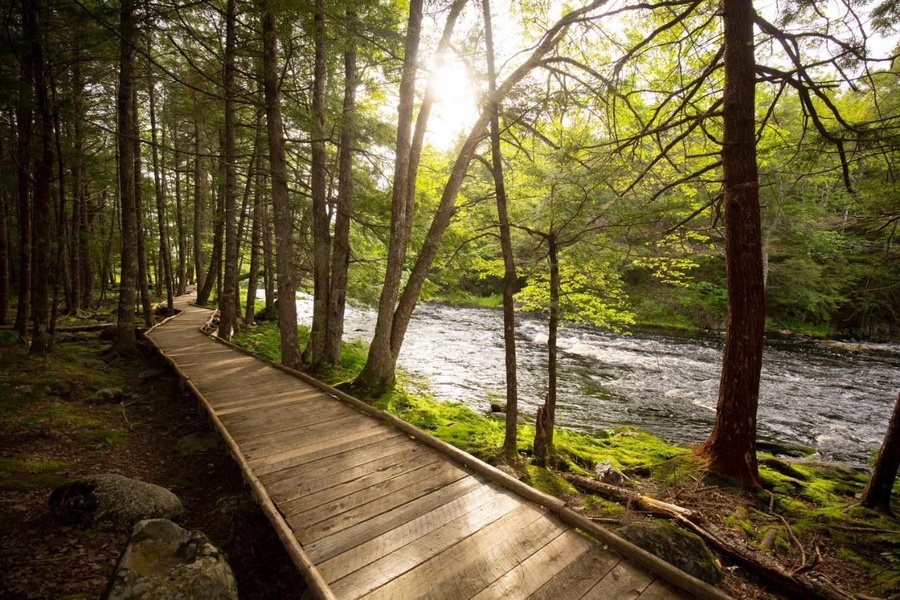 Mersey River Chalets A Nature Retreat Caledonia Bagian luar foto